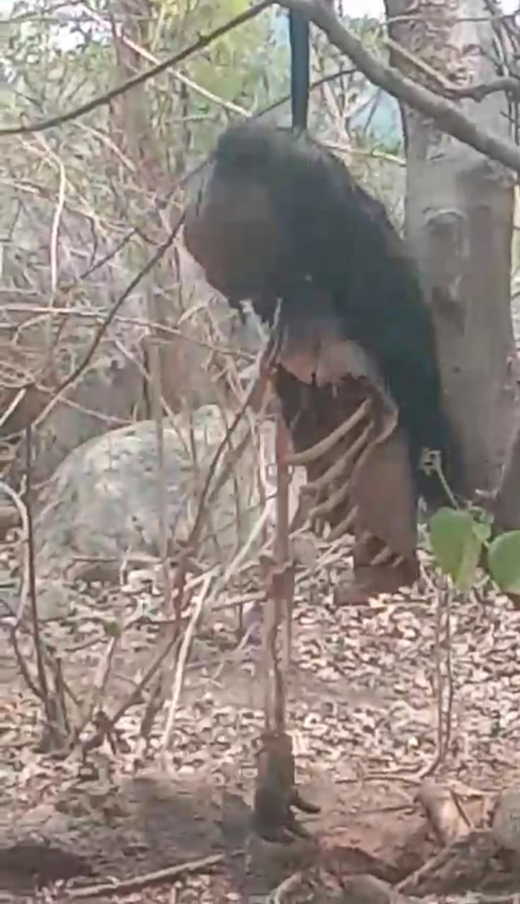 ef1dcd77-374e-480d-a936-26bea794bbef