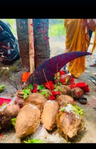 0e0656e1-a3db-4685-b009-a042a23242af