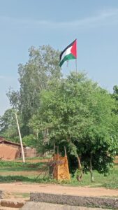 442dc9b6-2fbd-464e-81d9-00ea3646c638