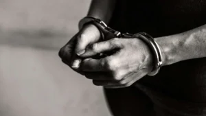 55c8f4e18c8ce09de35f148113d6dcf87c138ba5cf14337e7e32622d78936e81