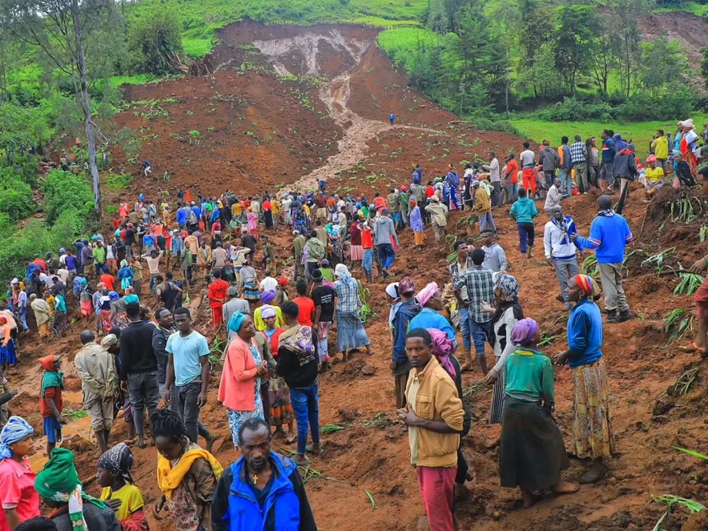 c32aeddcd9ac226dff3af97854cdc7b268ee710d9c215a25708518c7f90d447b