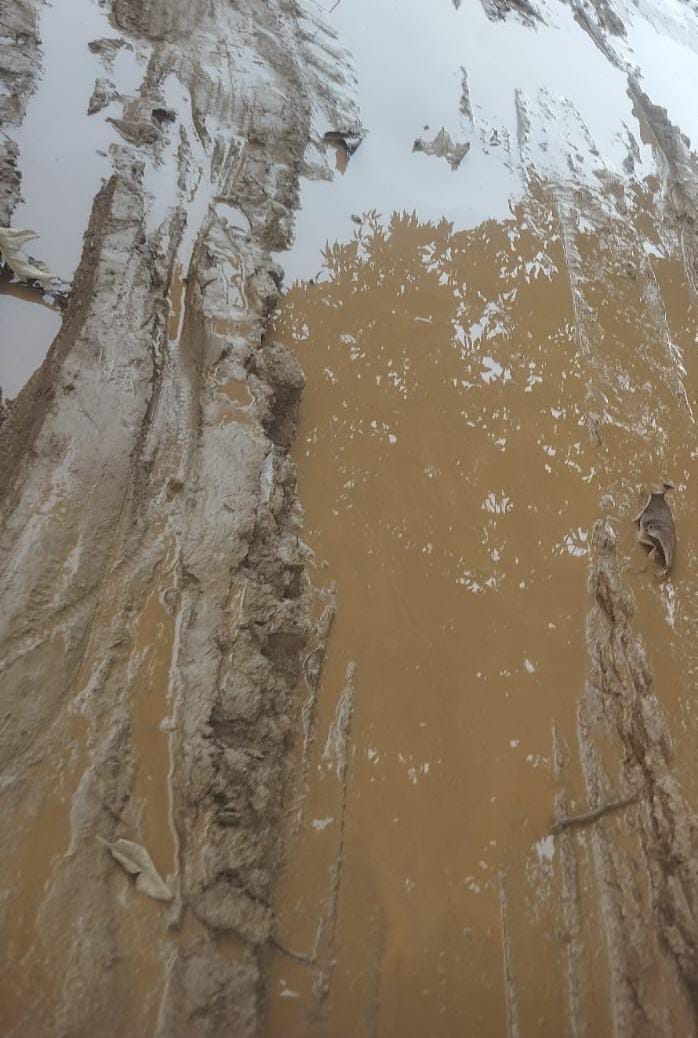 21a7b472-8db7-4b4d-866c-a825c18aa876