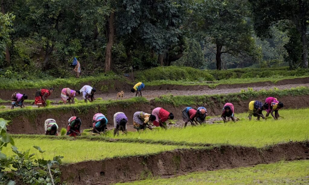 a146b9a7-e311-4a91-a5ec-a0bf5c56eedd