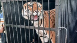 1c03ed10-a708-452b-a470-96a7e35bb94a