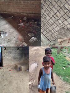 251642c9-b4aa-45dc-8788-f6da10c3ff30