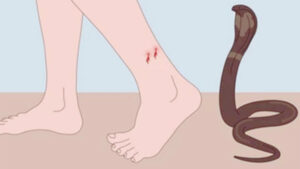 7b60641a-a5a6-47d2-bb79-afdc6fb9caef