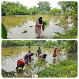 7d36e5cf-5d81-4e40-a400-a3fc038e542c (1)