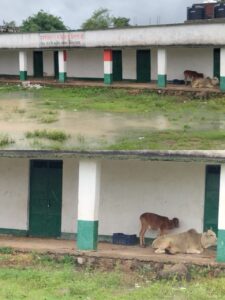 WhatsApp Image 2025-07-16 at 14.10.18