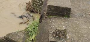 caae511a-dc7e-47b0-b4e4-4cb182f881ba