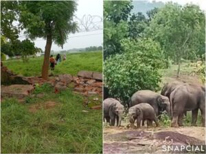 d4a901f1-7e4e-4406-9f03-c43c1f0481e1