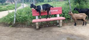 f816de4e-430e-4bad-bb88-ac0d8d9e7189