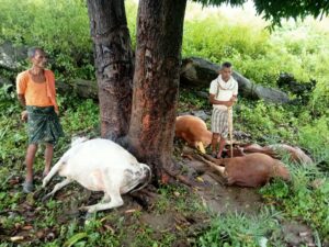 5366bb9b-4921-4be9-a554-2181dabcee4e