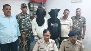 55ec2ea4-4477-4c8a-841e-c86310c9cc69