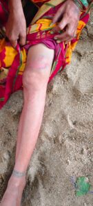 d70ab06b-9544-4f0c-a30d-17112c1e49cd