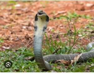 fa447309-f8c2-4b16-9e80-5e1797f9a2d6