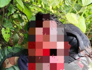 8a162f17-3699-44ea-81e0-11b3c115b326