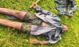 d59251e1-c406-4f2f-a3dc-15227683b1e4