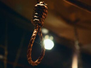 f113c6bc-9a37-4d9e-b7d0-ce294af9c44d