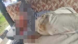 04a9e337-913c-451f-9039-4df01f9e1c1a