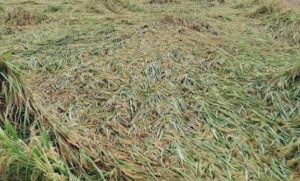 f9af8f6b-8032-4557-9e7d-4ca4787cedc9