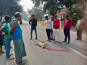 f2a115af-bbbb-41aa-9abd-81a1cb5a94c7