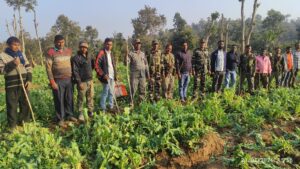 22440fac-3ab0-4c6f-a7d0-c56968ffe671