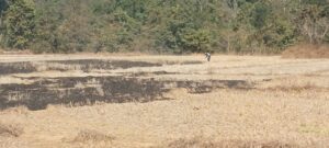 29a0c788-9230-4f27-ade1-0cb35c59a5c4