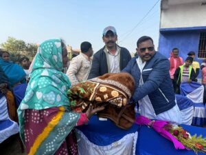 337c2c00-457c-466b-97bf-ca60ab0c3d65