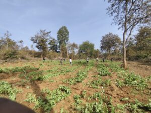 6d726a61-be44-411b-908b-f01c0ae29db0