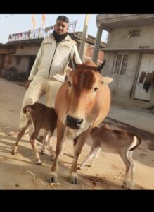 cdb3c7e5-11c8-4ba3-989f-f9ab8ecbc115