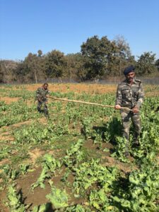 011ecbb3-4724-42de-9ac5-535018a2b4c8