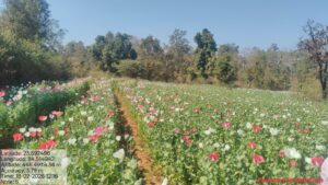 1d95aca4-7ca6-4981-9962-f8f19dd11c71