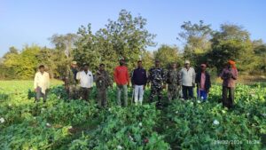 59cb4c21-2f90-44cd-aee2-3a9f82e69c42