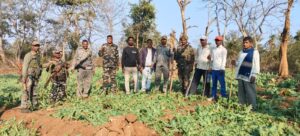 5c8db29f-dca3-4644-be2e-49e418cdfae4