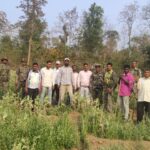 b54e05d5-4a0d-4d73-8d66-5e703d047ebb