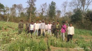 b54e05d5-4a0d-4d73-8d66-5e703d047ebb