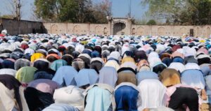 c2d9ff11-541e-4a76-b2ba-0b24d5e033dc