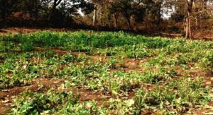 d52e5ca4-bef3-44f2-8cb3-10111085580a