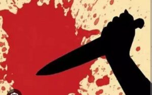 fa5115d2-748c-4e00-8762-8a2a315bc40b