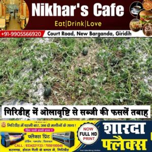 94a1d0a9-a816-4b94-a412-57ca23a64b30